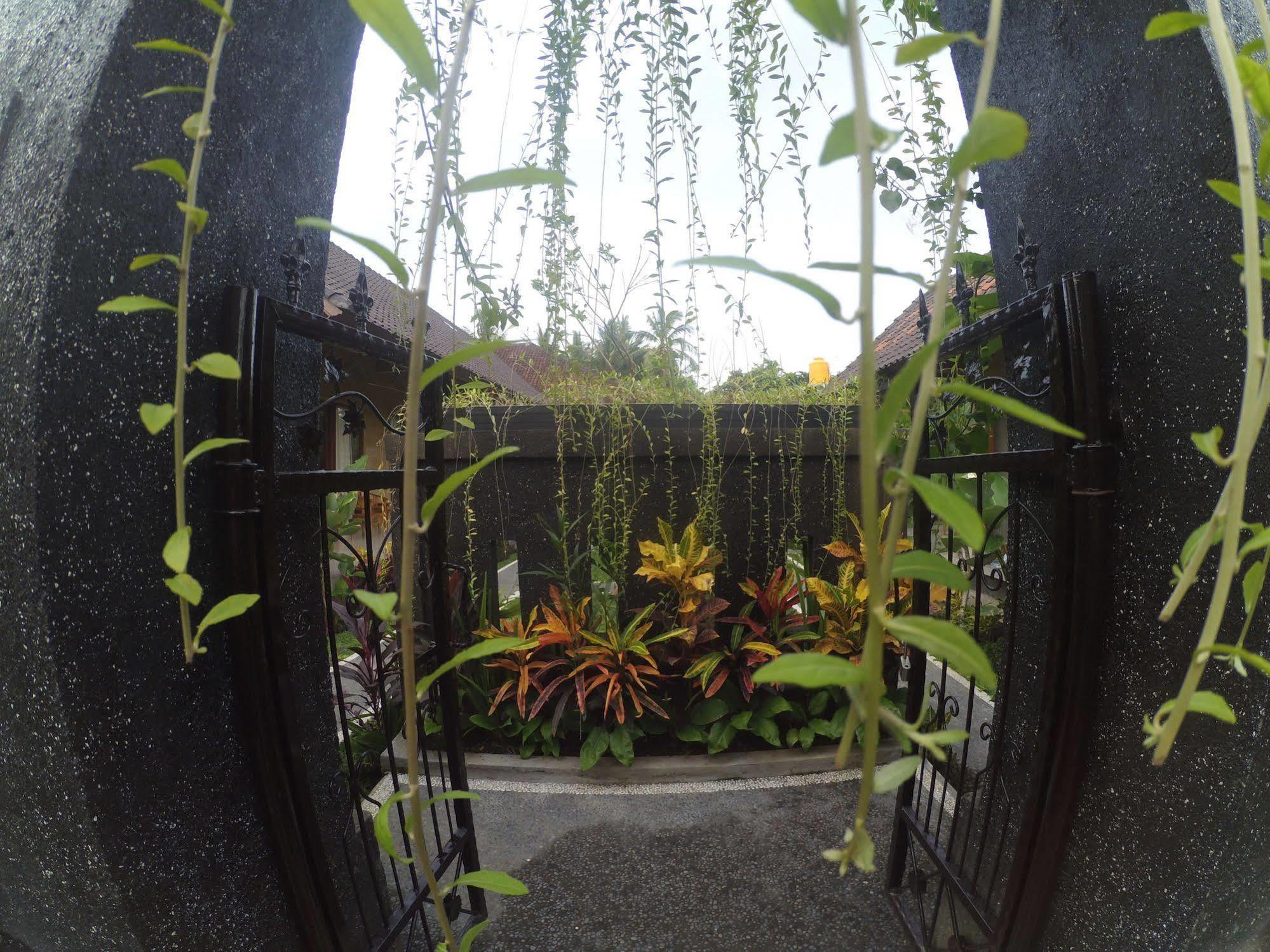 Chez Ida Séjour chez l'habitant Ubud